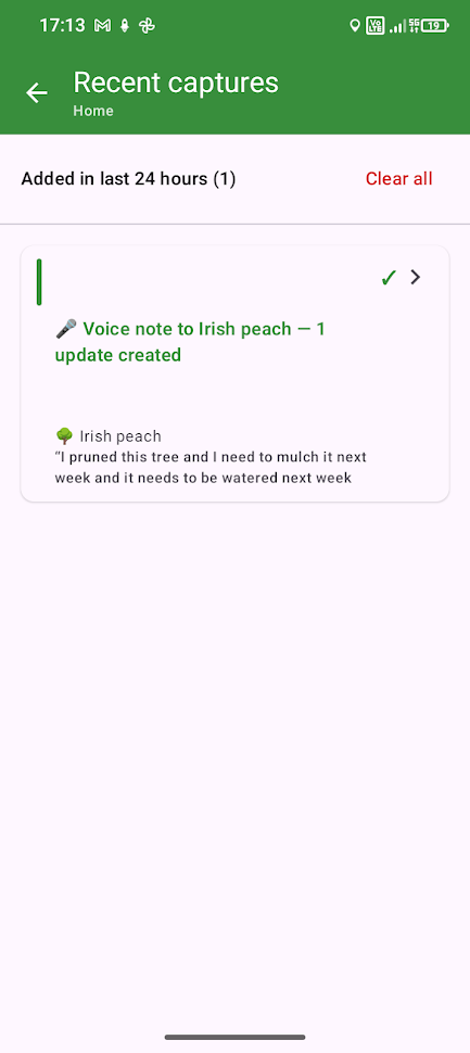 Recent screen showing how a voice note was parsed
